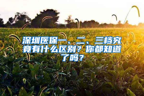 深圳醫(yī)保一、二、三檔究竟有什么區(qū)別？你都知道了嗎？