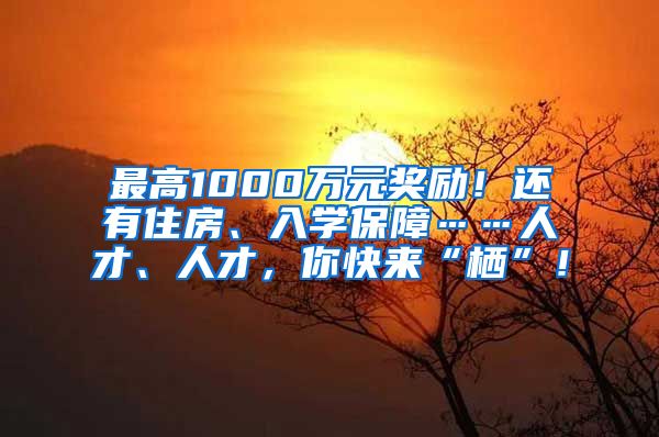 最高1000萬元獎(jiǎng)勵(lì)！還有住房、入學(xué)保障……人才、人才，你快來“棲”！