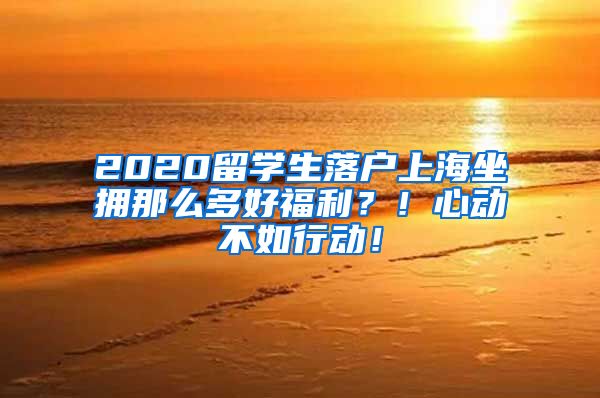 2020留學生落戶上海坐擁那么多好福利？！心動不如行動！