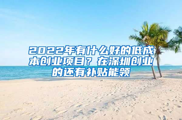 2022年有什么好的低成本創(chuàng)業(yè)項目？在深圳創(chuàng)業(yè)的還有補(bǔ)貼能領(lǐng)