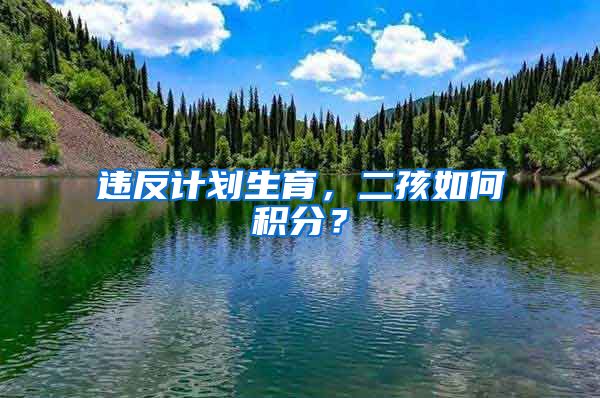 違反計劃生育，二孩如何積分？