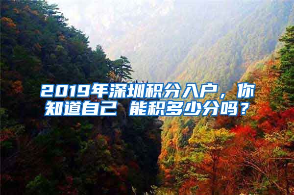 2019年深圳積分入戶，你知道自己 能積多少分嗎？