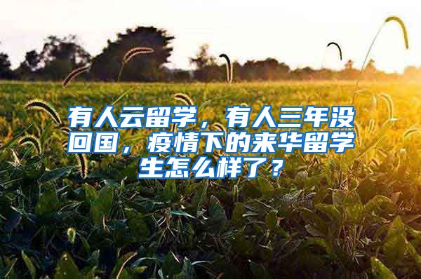 有人云留學(xué)，有人三年沒回國，疫情下的來華留學(xué)生怎么樣了？