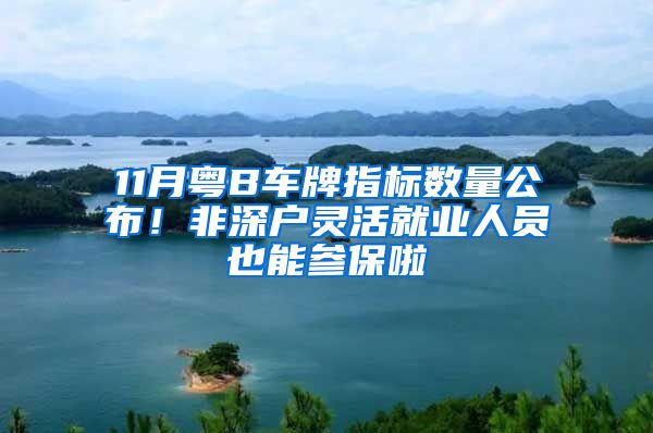 11月粵B車牌指標(biāo)數(shù)量公布！非深戶靈活就業(yè)人員也能參保啦