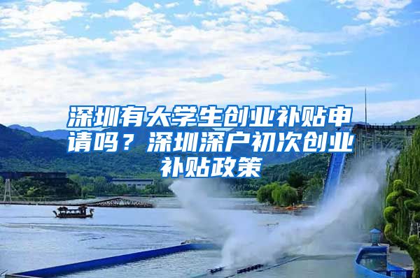 深圳有大學(xué)生創(chuàng)業(yè)補貼申請嗎？深圳深戶初次創(chuàng)業(yè)補貼政策