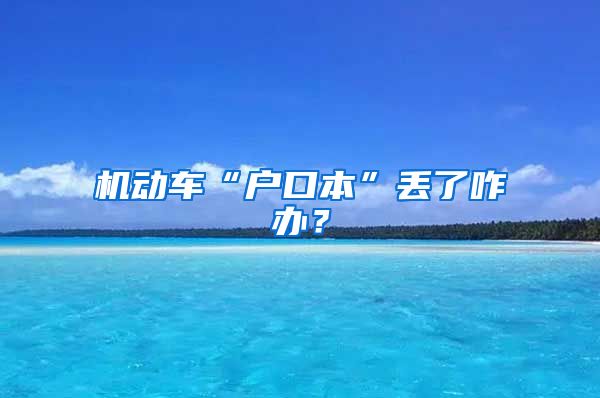 機(jī)動車“戶口本”丟了咋辦？