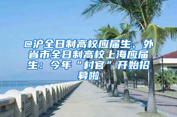 @滬全日制高校應(yīng)屆生、外省市全日制高校上海應(yīng)屆生：今年“村官”開始招募啦