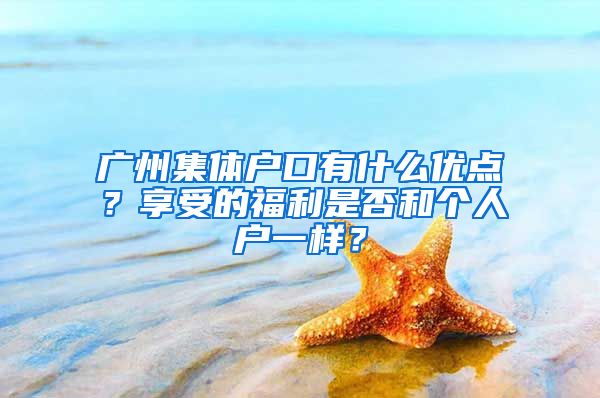 廣州集體戶口有什么優(yōu)點？享受的福利是否和個人戶一樣？