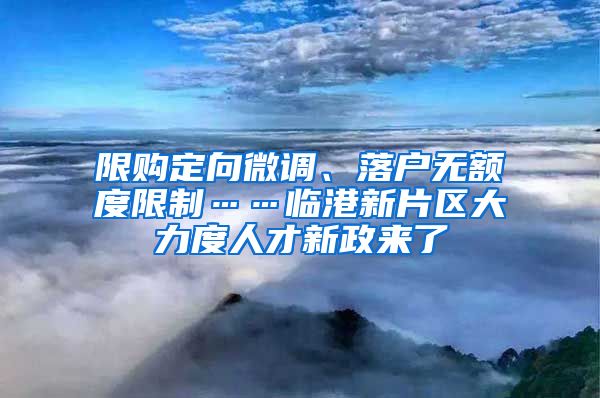 限購定向微調(diào)、落戶無額度限制……臨港新片區(qū)大力度人才新政來了