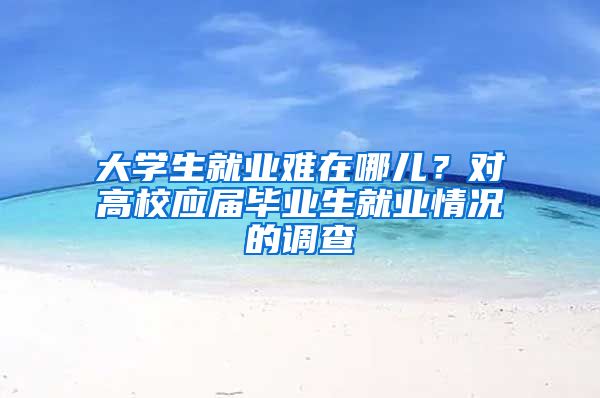 大學(xué)生就業(yè)難在哪兒？對高校應(yīng)屆畢業(yè)生就業(yè)情況的調(diào)查