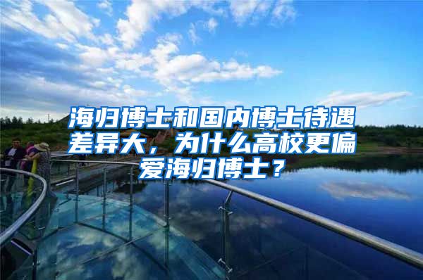 海歸博士和國內(nèi)博士待遇差異大，為什么高校更偏愛海歸博士？