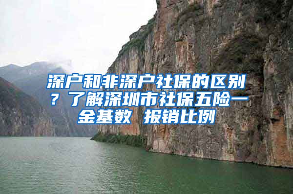 深戶和非深戶社保的區(qū)別？了解深圳市社保五險一金基數(shù) 報銷比例