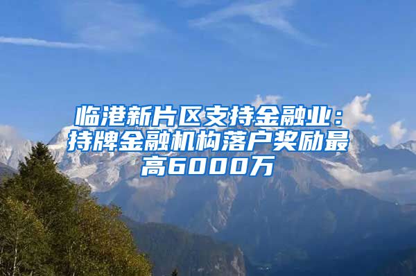 臨港新片區(qū)支持金融業(yè)：持牌金融機(jī)構(gòu)落戶獎(jiǎng)勵(lì)最高6000萬(wàn)