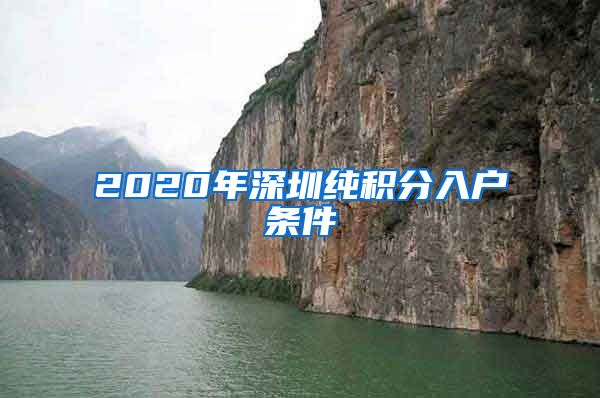 2020年深圳純積分入戶(hù)條件