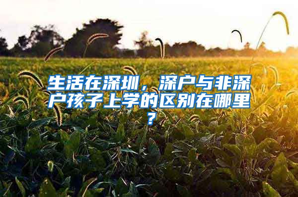 生活在深圳，深戶與非深戶孩子上學(xué)的區(qū)別在哪里？