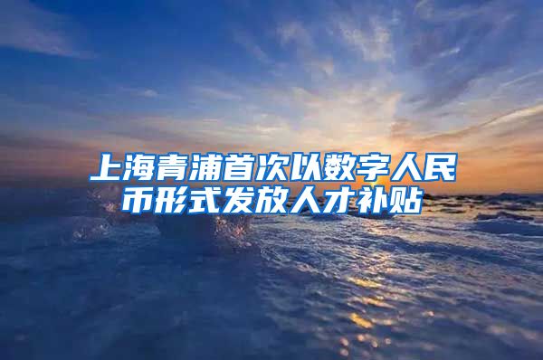 上海青浦首次以數(shù)字人民幣形式發(fā)放人才補貼