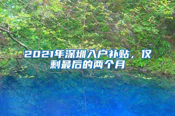 2021年深圳入戶補貼，僅剩最后的兩個月