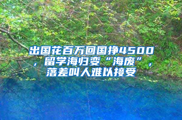 出國(guó)花百萬(wàn)回國(guó)掙4500，留學(xué)海歸變“海廢”，落差叫人難以接受