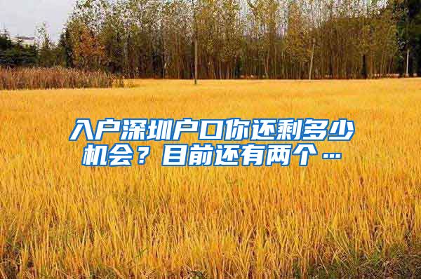 入戶深圳戶口你還剩多少機會？目前還有兩個…