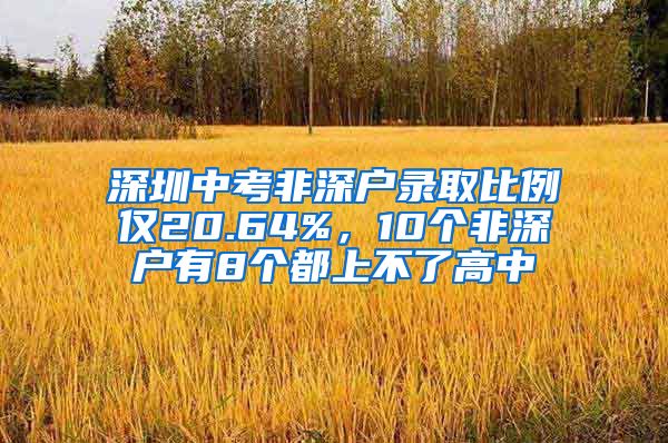 深圳中考非深戶錄取比例僅20.64%，10個非深戶有8個都上不了高中