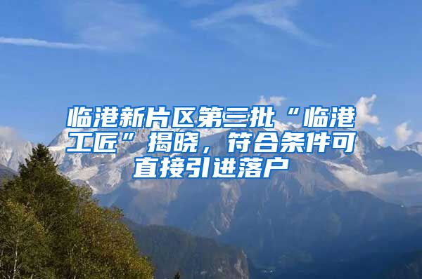 臨港新片區(qū)第三批“臨港工匠”揭曉，符合條件可直接引進(jìn)落戶