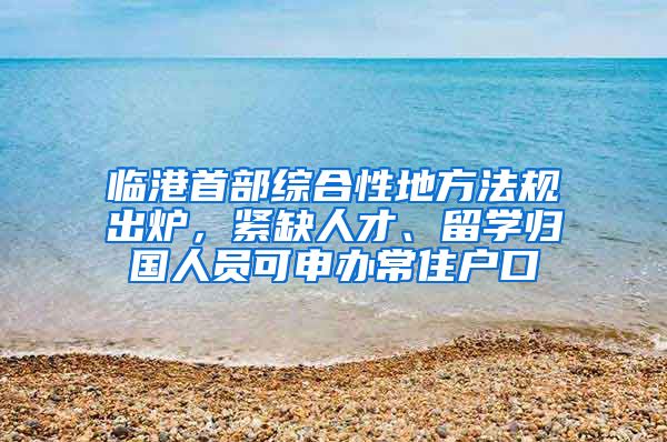 臨港首部綜合性地方法規(guī)出爐，緊缺人才、留學歸國人員可申辦常住戶口