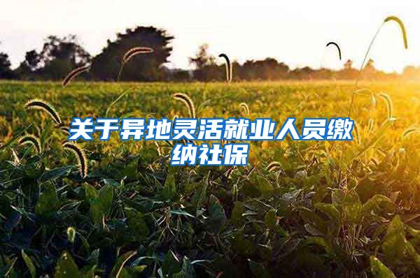 關于異地靈活就業(yè)人員繳納社保