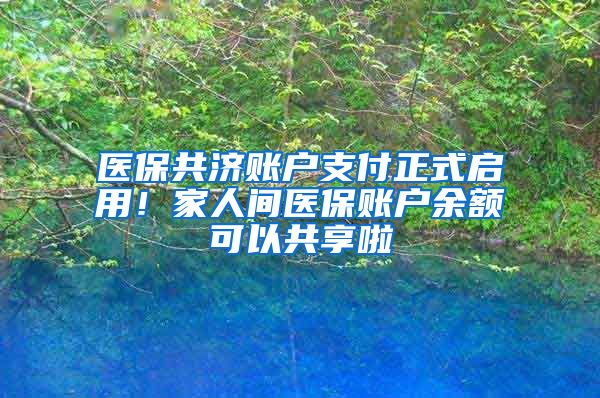 醫(yī)保共濟(jì)賬戶支付正式啟用！家人間醫(yī)保賬戶余額可以共享啦