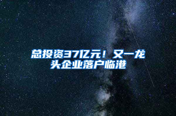 總投資37億元！又一龍頭企業(yè)落戶臨港