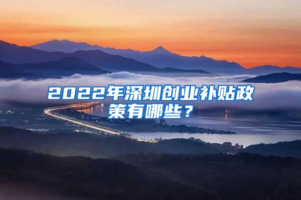 2022年深圳創(chuàng)業(yè)補(bǔ)貼政策有哪些？