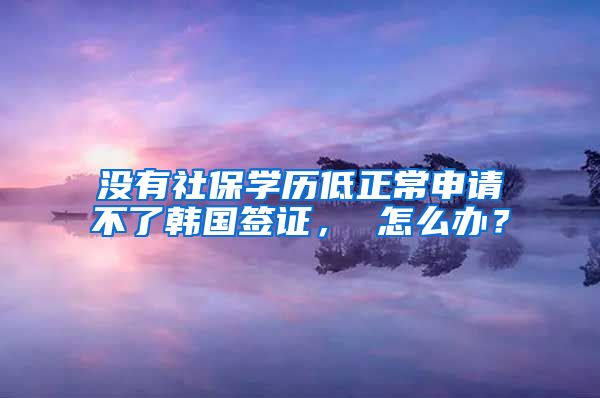 沒有社保學(xué)歷低正常申請(qǐng)不了韓國簽證， 怎么辦？