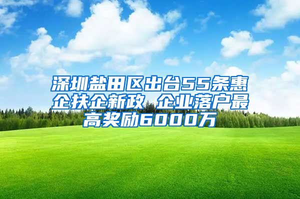 深圳鹽田區(qū)出臺(tái)55條惠企扶企新政 企業(yè)落戶最高獎(jiǎng)勵(lì)6000萬