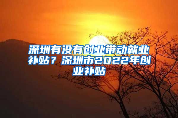 深圳有沒有創(chuàng)業(yè)帶動就業(yè)補貼？深圳市2022年創(chuàng)業(yè)補貼