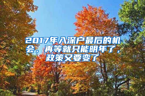 2017年入深戶最后的機會，再等就只能明年了，政策又要變了