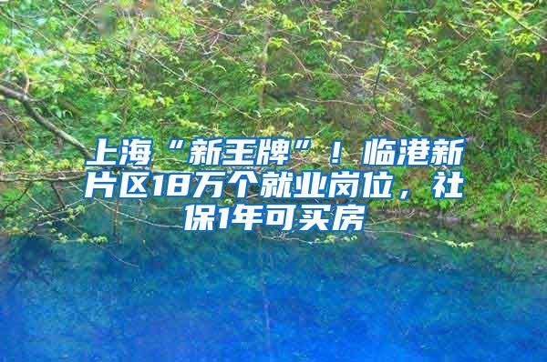 上?！靶峦跖啤保∨R港新片區(qū)18萬個就業(yè)崗位，社保1年可買房