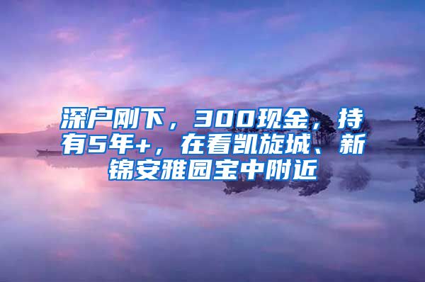 深戶剛下，300現(xiàn)金，持有5年+，在看凱旋城、新錦安雅園寶中附近