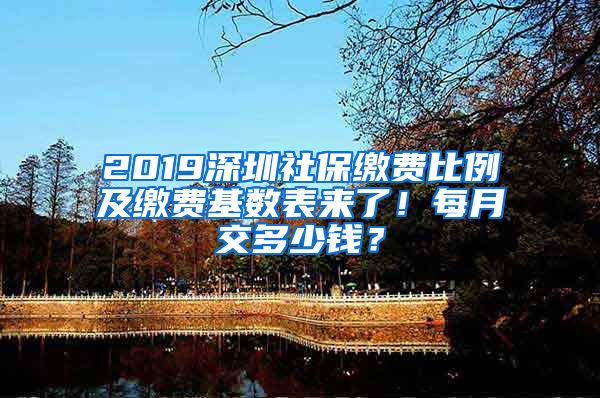 2019深圳社保繳費比例及繳費基數(shù)表來了！每月交多少錢？