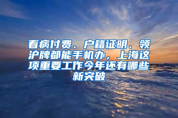 看病付費(fèi)、戶籍證明、領(lǐng)滬牌都能手機(jī)辦，上海這項(xiàng)重要工作今年還有哪些新突破