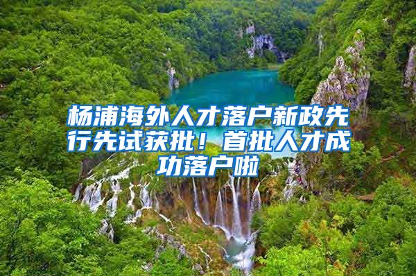 楊浦海外人才落戶新政先行先試獲批！首批人才成功落戶啦