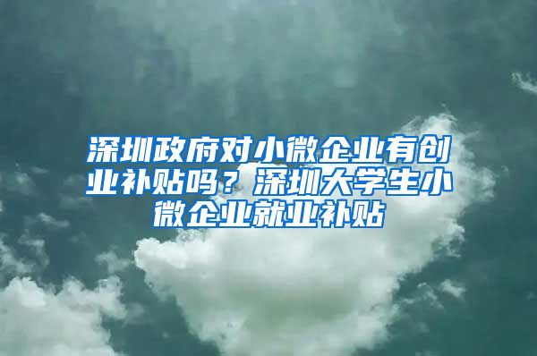 深圳政府對小微企業(yè)有創(chuàng)業(yè)補(bǔ)貼嗎？深圳大學(xué)生小微企業(yè)就業(yè)補(bǔ)貼