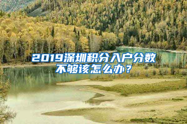 2019深圳積分入戶分?jǐn)?shù)不夠該怎么辦？