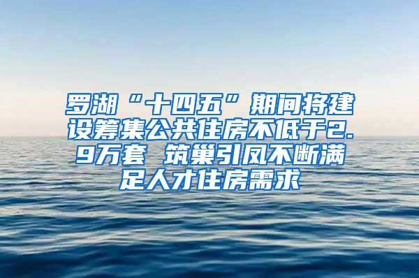 羅湖“十四五”期間將建設(shè)籌集公共住房不低于2.9萬套 筑巢引鳳不斷滿足人才住房需求