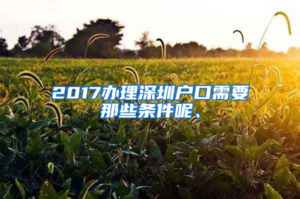 2017辦理深圳戶口需要那些條件呢、