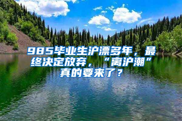 985畢業(yè)生滬漂多年，最終決定放棄，“離滬潮”真的要來(lái)了？