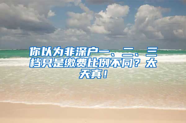 你以為非深戶一、二、三檔只是繳費(fèi)比例不同？太天真！