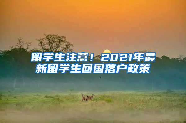 留學(xué)生注意！2021年最新留學(xué)生回國(guó)落戶政策