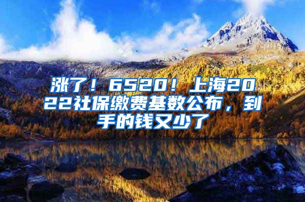 漲了！6520！上海2022社保繳費(fèi)基數(shù)公布，到手的錢又少了