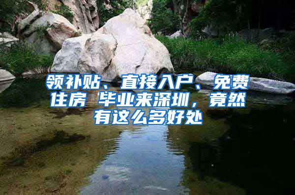 領(lǐng)補(bǔ)貼、直接入戶、免費(fèi)住房 畢業(yè)來深圳，竟然有這么多好處