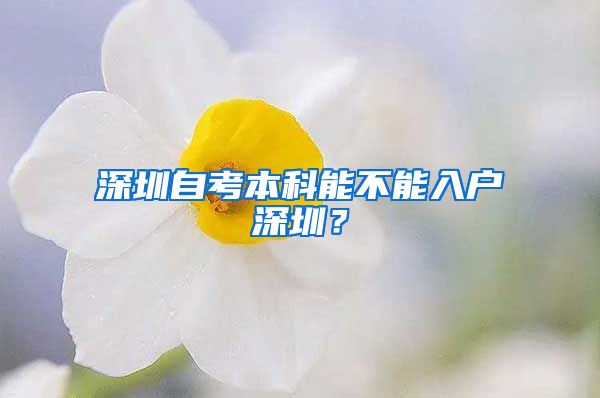 深圳自考本科能不能入戶深圳？