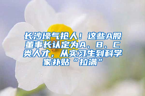 長沙壕氣搶人！這些A股董事長認定為A、B、C類人才，從實習生到科學家補貼“拉滿”